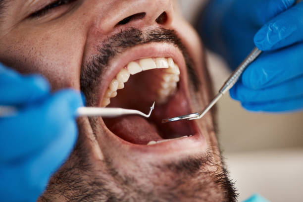 White Marsh, MD Holistic Dental Care Services Company